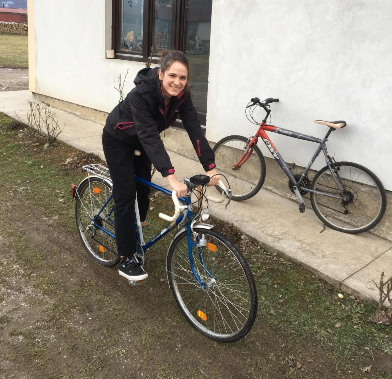 Zvezdica Lägenhet Bajina Basta Exteriör bild