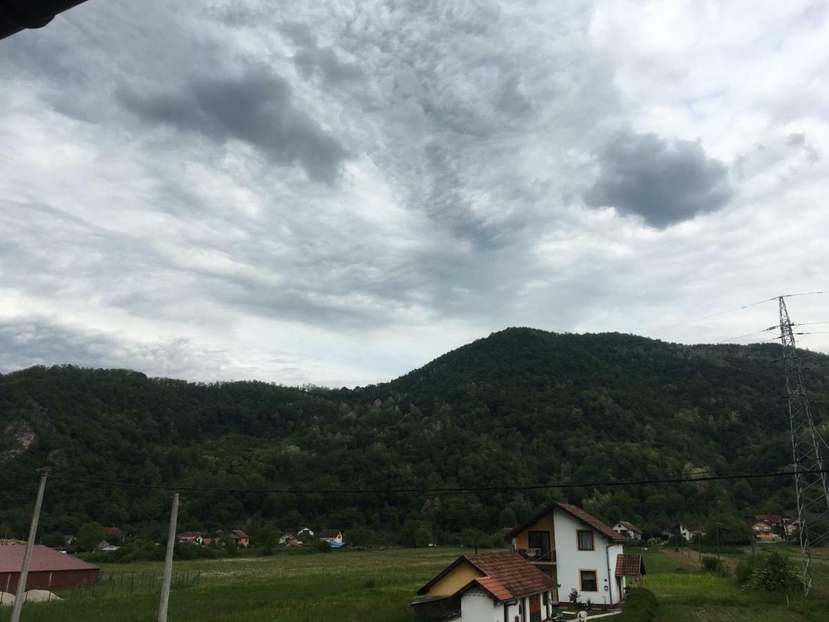 Zvezdica Lägenhet Bajina Basta Exteriör bild