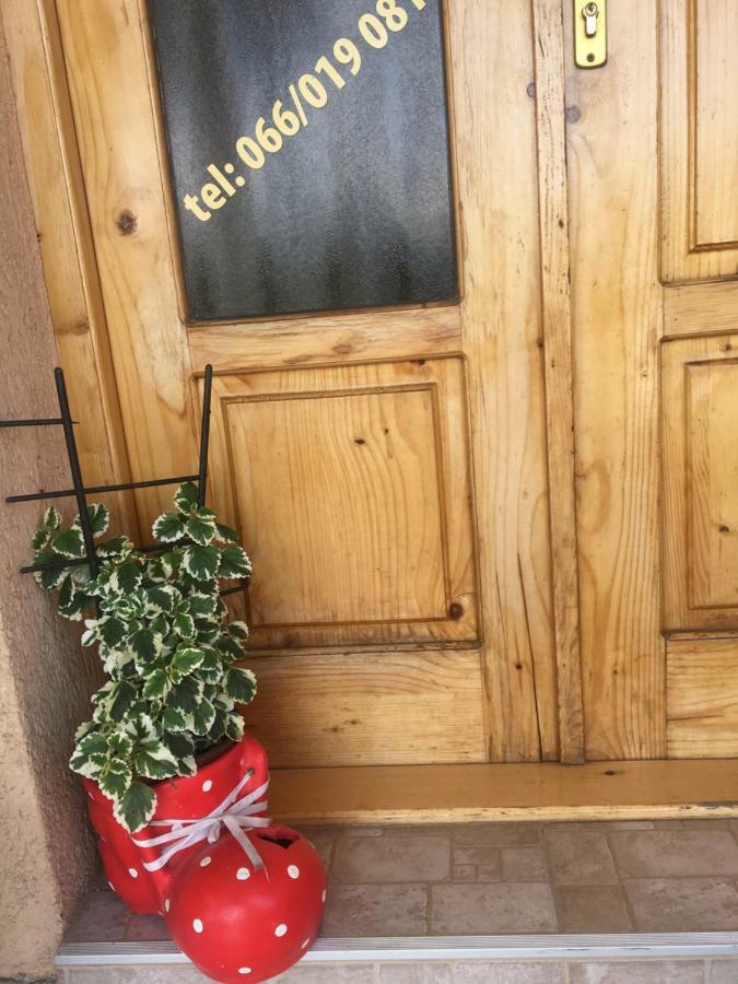 Zvezdica Lägenhet Bajina Basta Exteriör bild