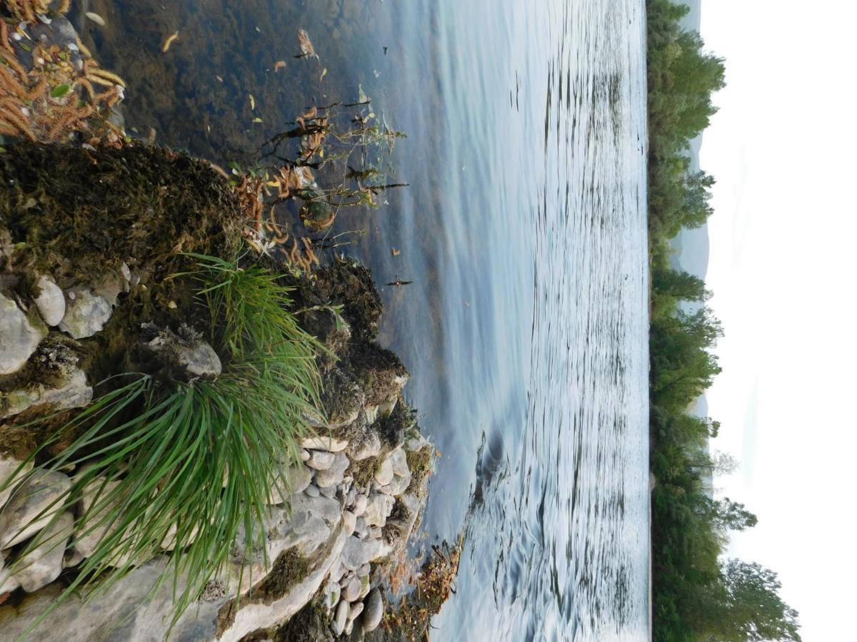 Zvezdica Lägenhet Bajina Basta Exteriör bild